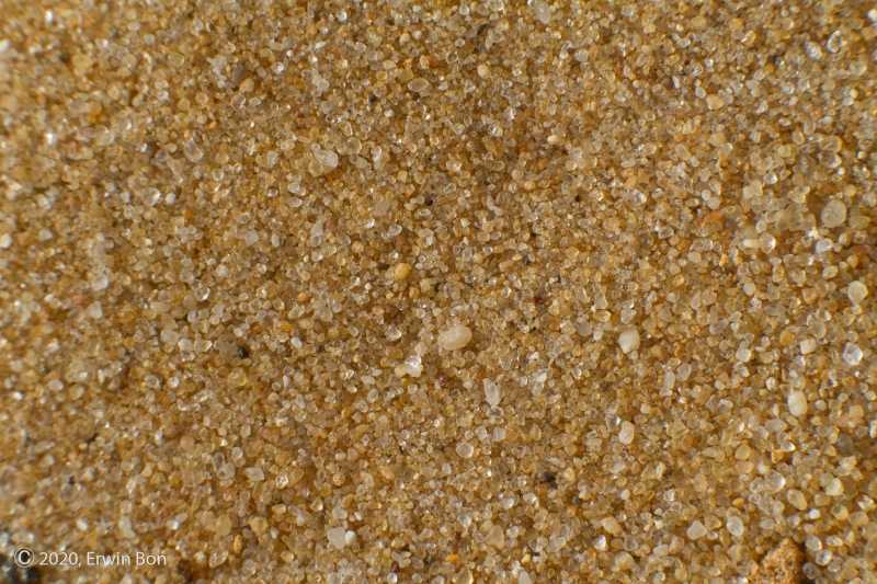 Nederland, Noord-Brabant, Loon op Zand